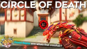 The WEIRDEST Crosshair on Valorant... But it works!