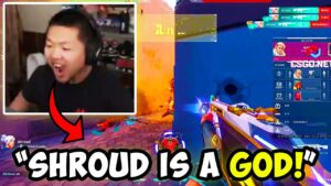 Valorant Pros reacts to other PROS PLAYS! (Shroud, TenZ, WARDELL, ShahZam, Nivera and more)