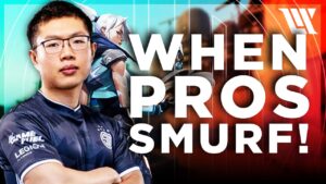 WHEN PRO'S SMURF IN VALORANT! | TSM WARDELL