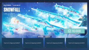Snowfall Collection :( - VALORANT