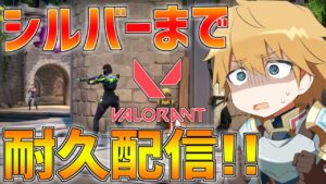 【VALORANT】シルバーいくまでランクマッチ耐久配信!!【にじさんじ/エクス・アルビオ】