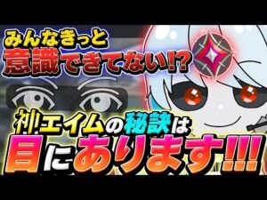 Valorantでエイムをする時の「目の鍛え方」講座　GSM理論　これでキミも撃ち合いの勝率が”上がる　架空プロも実践する効果的な練習方法【Valorant/ヴァロラント】【ソロイモータル3が教える】