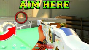 EMBARRASSING THEM RADIANTS - Valorant