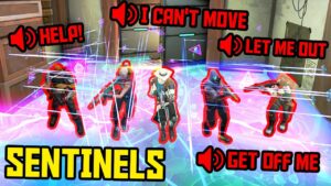 EVERY TEAM NEEDS A SENTINEL...