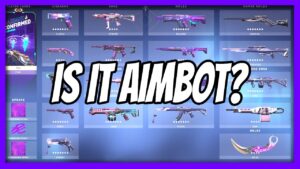 MY INVENTORY in VALORANT is PURPLE... (was it aimbot?)