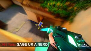 "Sage you have too many Hours on Valorant"