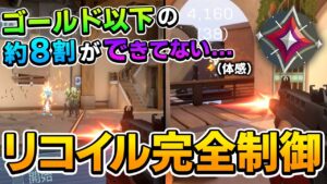 【Valo】実戦派、感覚派プレイヤーのための簡単リコイルコントロール講座（実戦での反動制御で意識する１つのこと、練習方法、etc...）【Valorant/ヴァロラント】