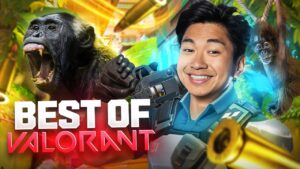 JE JOUE AVEC DES SINGES 😭 (VALORANT)