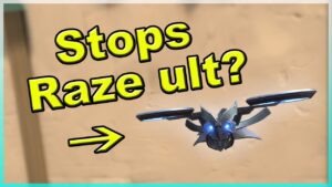 50 THINGS YOU DIDN'T KNOW ABOUT VALORANT - Part 11