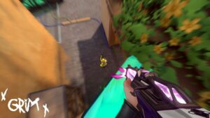 "Why do you main Sage?"