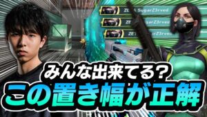 皆置きエイムちゃんと出来てる？これが置きエイムのやり方です【VALORANT】