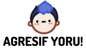 EN İYİ YORU VİDEOSU! - tiktokçu yoru'suna benzemez :d