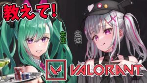【VALORANT】教えて！べにちゃん先生！！！【空澄セナ/ぶいすぽっ！】