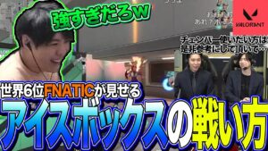 【VALORANT】必見:VCTで見る完璧なFNATICのアイスボックスの戦い方 13本全部【SPYGEA/スパイギア】