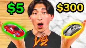 $5 Mouse vs $300 Mouse VALORANT Challenge !?