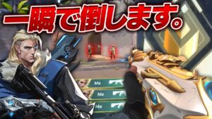 ADSはこう使え！役割をこなしキルも取る仕事人が最強すぎた....【VALORANT】