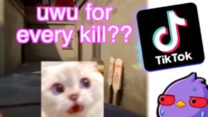 Watching Valorant's CRINGIEST TIKTOKS... (Instant Regret)
