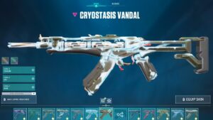 CRYOSTASIS FULLY UPGRADED BUNDLE - VALORANT