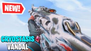 Cryostasis Vandal Review - Valorant Before You Buy