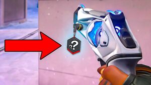 Riot sent me a XMAS Present…