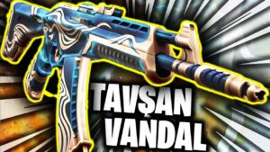 AY TAVŞANI VANDAL ULAN!! | VALORANT