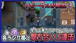 【解説】コレ全て出来たら撃ち合いアセイモです。【VALORANT】