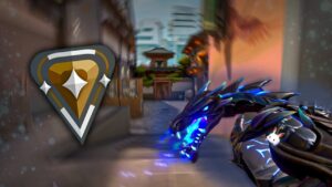 Valorant tüm SKİNLER var ama BRONZ