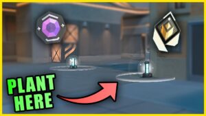 Why do Radiants plant here now?