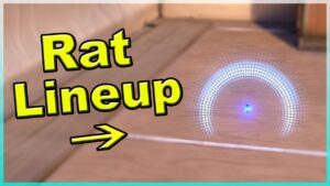 THE BEST RAT PLAYS - Valorant