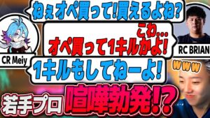 こんなギスギスしたヴァロやりたくないよ...助けて...【VALORANT / ヴァロラント】