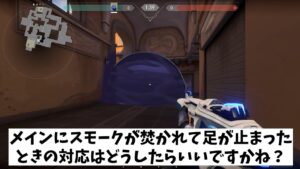 VALORANT法律部門　スモークで止まってしまった