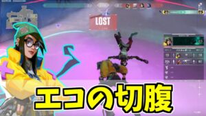 キルジョイ使いは頭が柔らかいのかもしれない(？)【ヴァロラント】