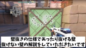 VALORANT法律部門　壁抜き仕様