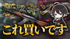 【VALORANT】新スキンブラックマーケット、正直買いです【BlackWiz 切り抜き】