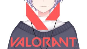 ソロ【VALORANT / 白雪レイド】
