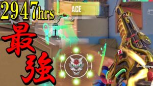 このヨルはとどまる所を知らないようです【VALORANT】