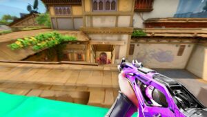 sage isn't balanced anymore...