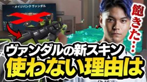 新スキンの「〇〇がなければずっと使っている」というDep【VALORANT】