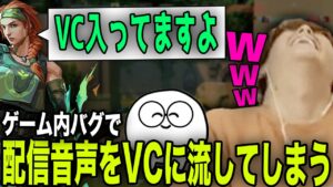 【雑談】ゲーム内バグでリスナーと喋っている音声を気付かずVCに流してしまうじゃす【じゃすぱー切り抜き】