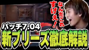 【新ブリーズ解説】強ポジ、相性の良いスキル、元プロが全部教えます【VALORANT】