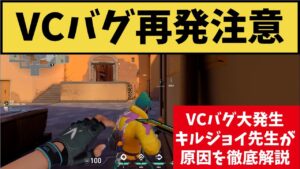 ■ＶＣバグ再発中！ やたら詳しいキルジョイが原因をチームに徹底解説ｗ 原因が分かってみんなが安心したシーンがコチラ！【VALORANT】【クリップ集】