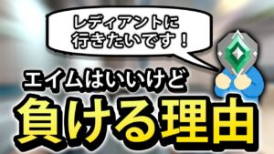エイムはいいが負ける理由とスカイの立ち回り 【VALORANT/コーチング】