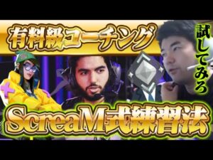 【コーチング】この練習方法を言えば俺は消される シルバーキルジョイpart4【VALORANT】