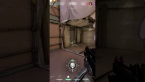 Sage I will kill your allies     #valorant #valorantclip #funnyvalorant #lol #ultimate  #brimstone