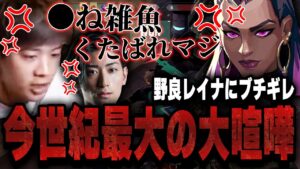 害悪すぎる野良レイナに今世紀最大級のブチギレみっちーｗｗｗｗｗ【VALORANT】