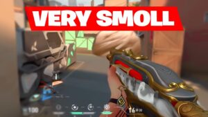 Smooth aim, smoll brain