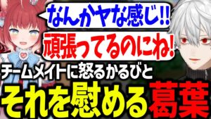 チームメイトのかるび虐に怒る葛葉が面白すぎたｗｗｗ【赤見かるび/神成きゅぴ/水無瀬/Tonbo/ラプラスダークネス/にじさんじ/切り抜き/V最協/VALORANT】