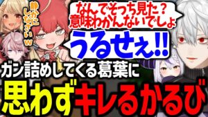 喧嘩しすぎてきゅぴママに怒られる葛葉とかるびが面白すぎたｗｗｗ【赤見かるび/神成きゅぴ/水無瀬/Tonbo/ラプラスダークネス/にじさんじ/切り抜き/V最協/VALORANT】