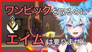 【解説】３分で分かるデュエリストのワンピックのやり方【VALORANT】