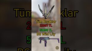 hangisi daha pahalı? #valorant vs #cs2  #gaming #counterstrikeglobaloffensive #shorts